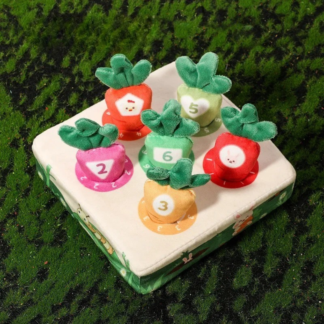 Kids Plush Sensory Toys | Enhance Creativity and Motor Skills