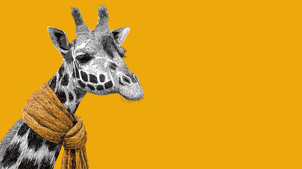 Giraffe in a Cosy Scarf Wall Mural