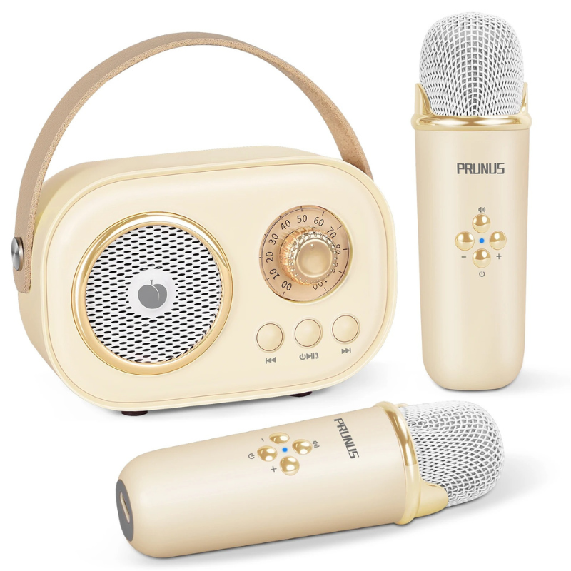 Portable Karaoke System for Kids | Fun with Two Microphones