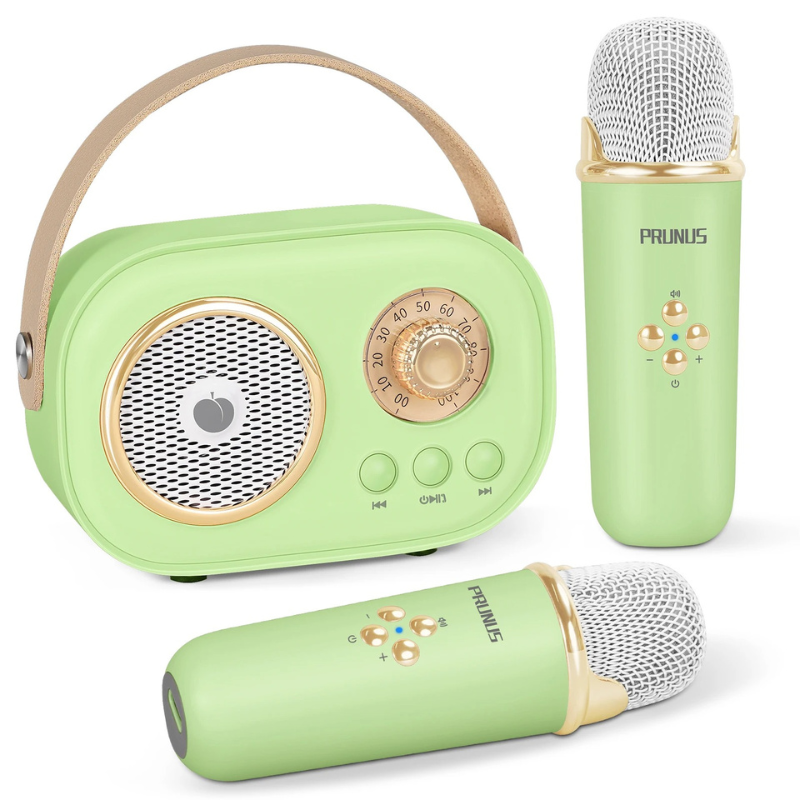 Portable Karaoke System for Kids | Fun with Two Microphones