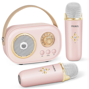 Portable Karaoke System for Kids | Fun with Two Microphones