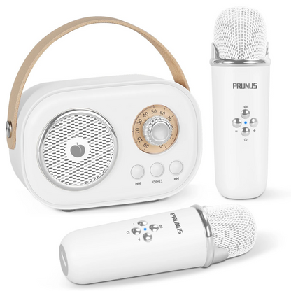 Portable Karaoke System for Kids | Fun with Two Microphones