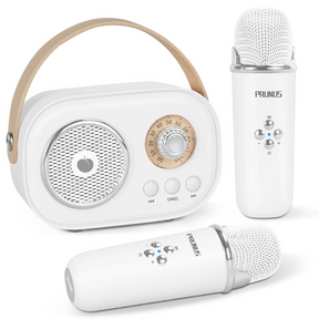 Portable Karaoke System for Kids | Fun with Two Microphones