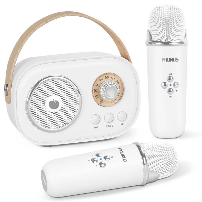 Portable Karaoke System for Kids | Fun with Two Microphones