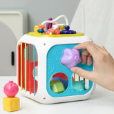 Shape Sorter Toy for Toddlers | BPA-Free Educational Motor Skills Development