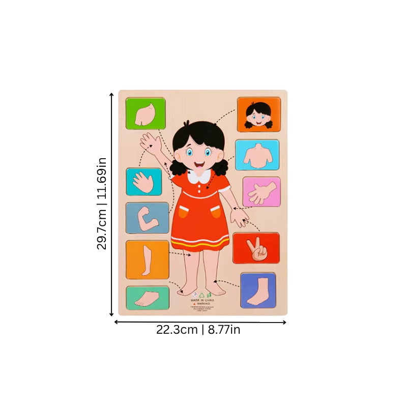 Human Body Puzzle Set | Engaging Hands-On Learning Experience