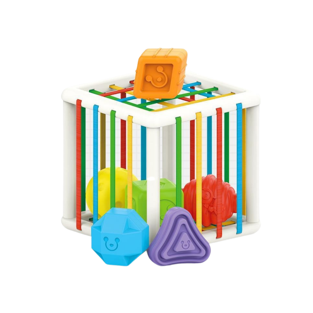 Color Learning Activity Toy | Develops Motor Skills and Creativity