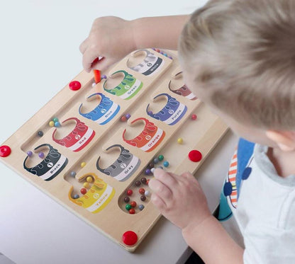 Magnetic Counting Puzzle | Colorful Educational Toy for Kids