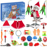Cat Advent Calendar | Daily Toys and Indoor Fun