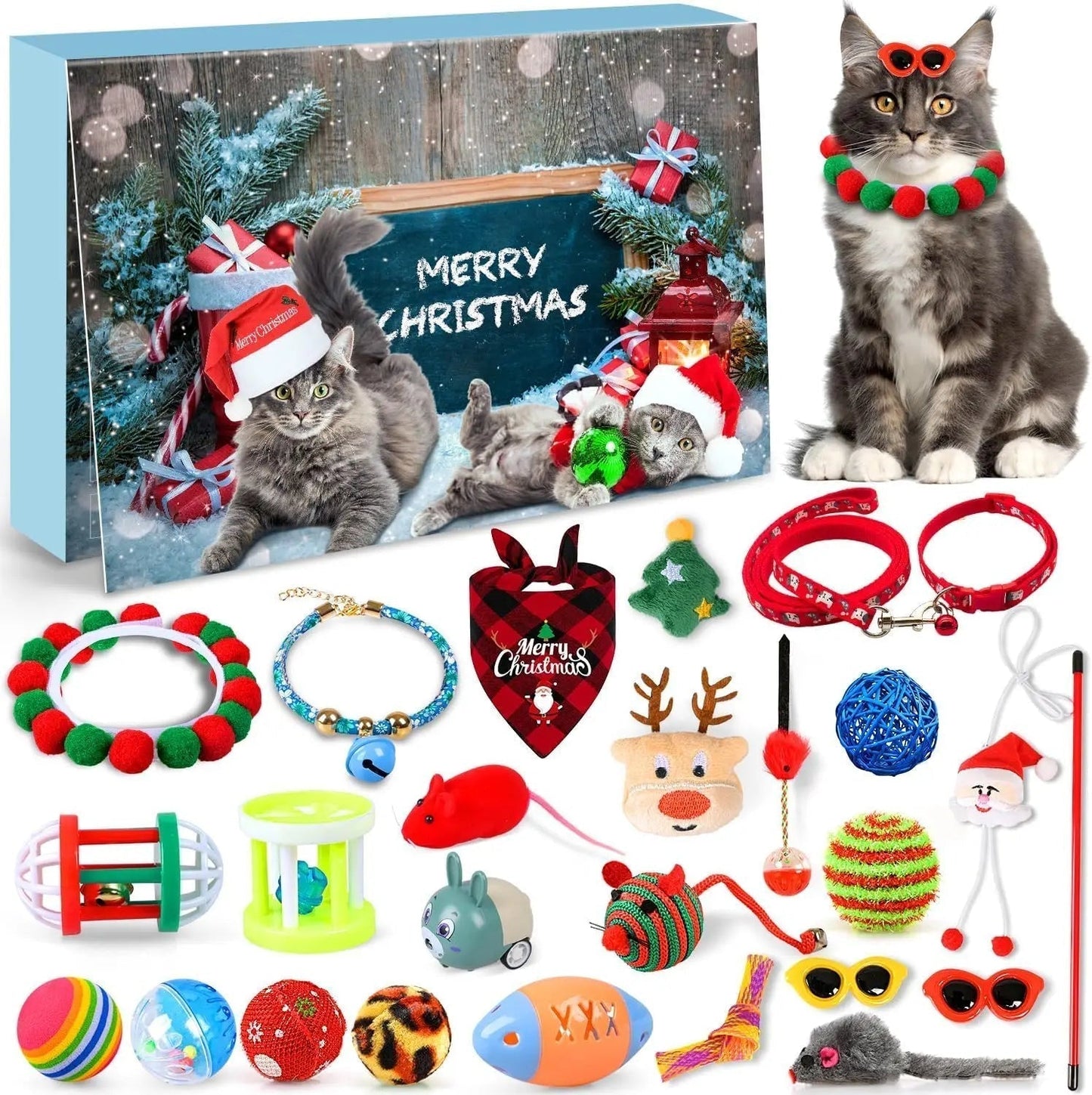 Cat Advent Calendar | Daily Toys and Indoor Fun