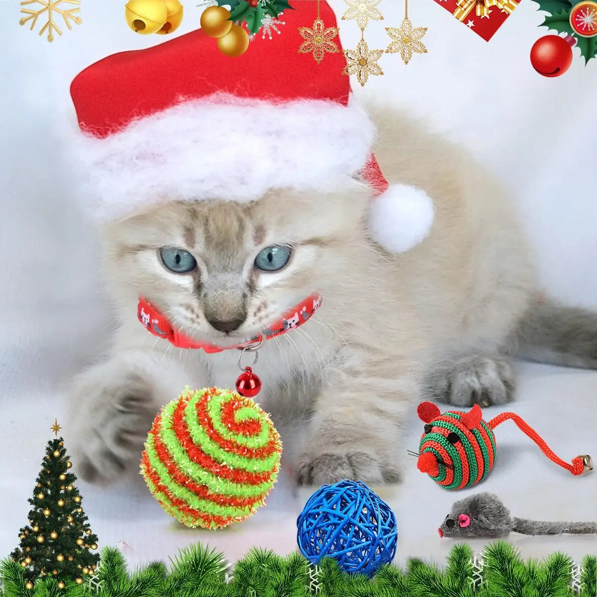 Cat Advent Calendar | Daily Toys and Indoor Fun