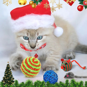 Cat Advent Calendar | Daily Toys and Indoor Fun