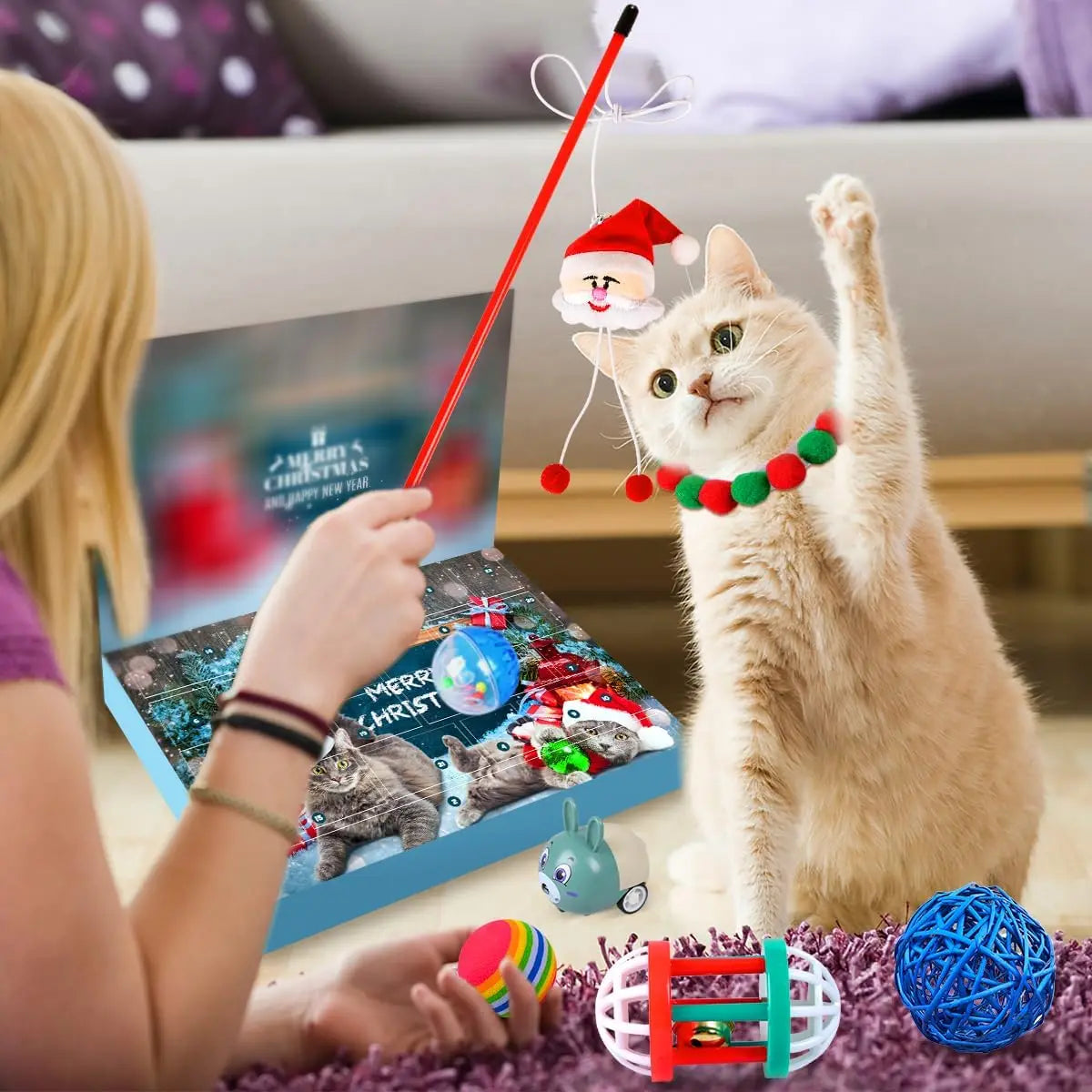 Cat Advent Calendar | Daily Toys and Indoor Fun