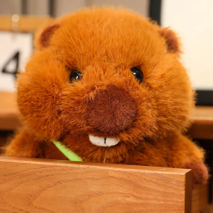 Beaver Plush Toy | Soft, Cuddly, Available in Sizes