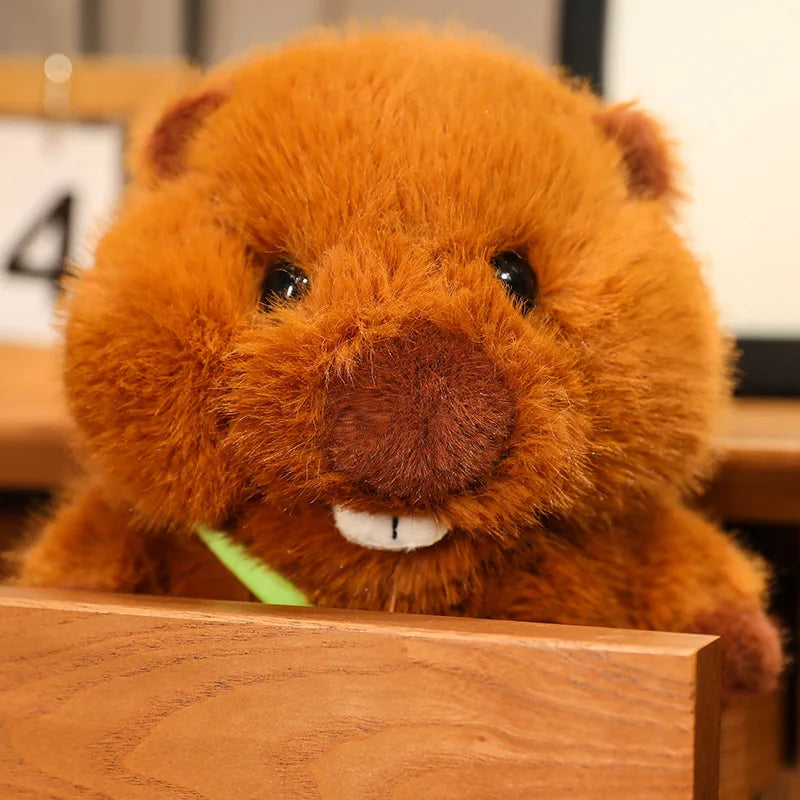 Beaver Plush Toy | Soft, Cuddly, Available in Sizes