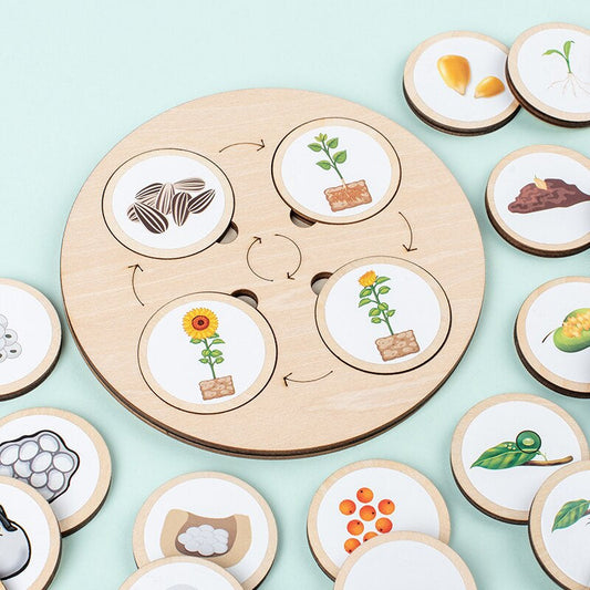 Wooden Life Cycle Puzzle | Engaging Educational Toy for Kids