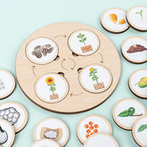 Wooden Life Cycle Puzzle | Engaging Educational Toy for Kids