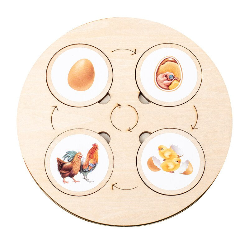 Wooden Life Cycle Puzzle | Engaging Educational Toy for Kids