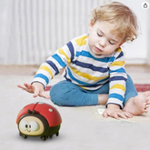 Ladybug Balloon Toy for Babies | Safe, Colorful, Sensory Fun