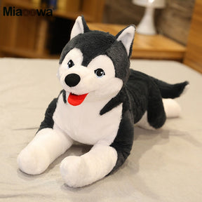 Husky Puppy Plush Toy | Realistic, Soft, Life-Size Cuddly Companion
