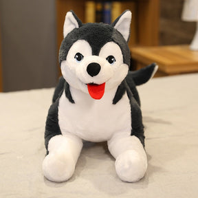Husky Puppy Plush Toy | Realistic, Soft, Life-Size Cuddly Companion
