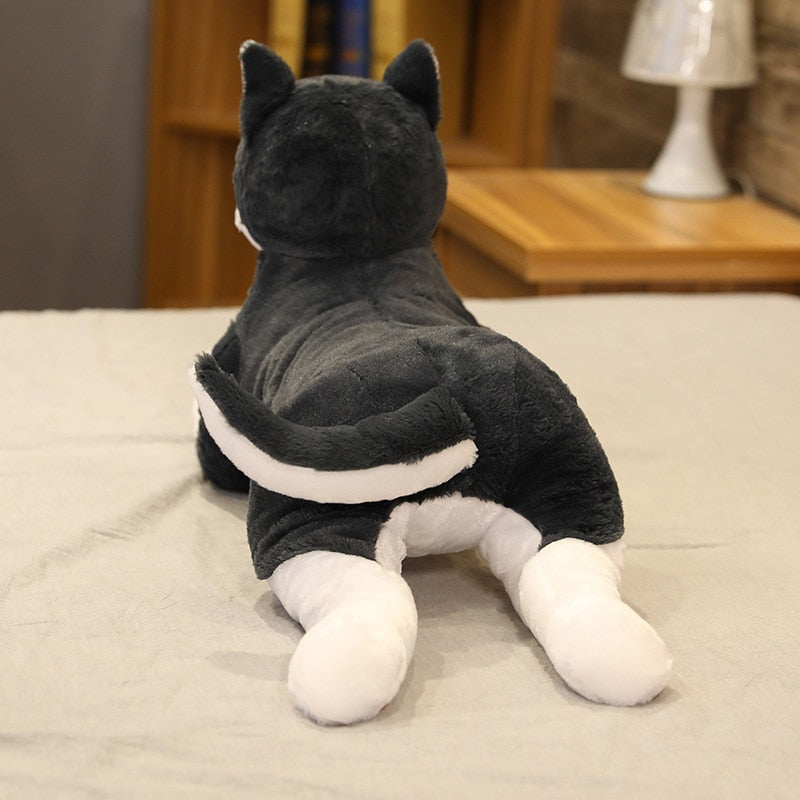 Husky Puppy Plush Toy | Realistic, Soft, Life-Size Cuddly Companion