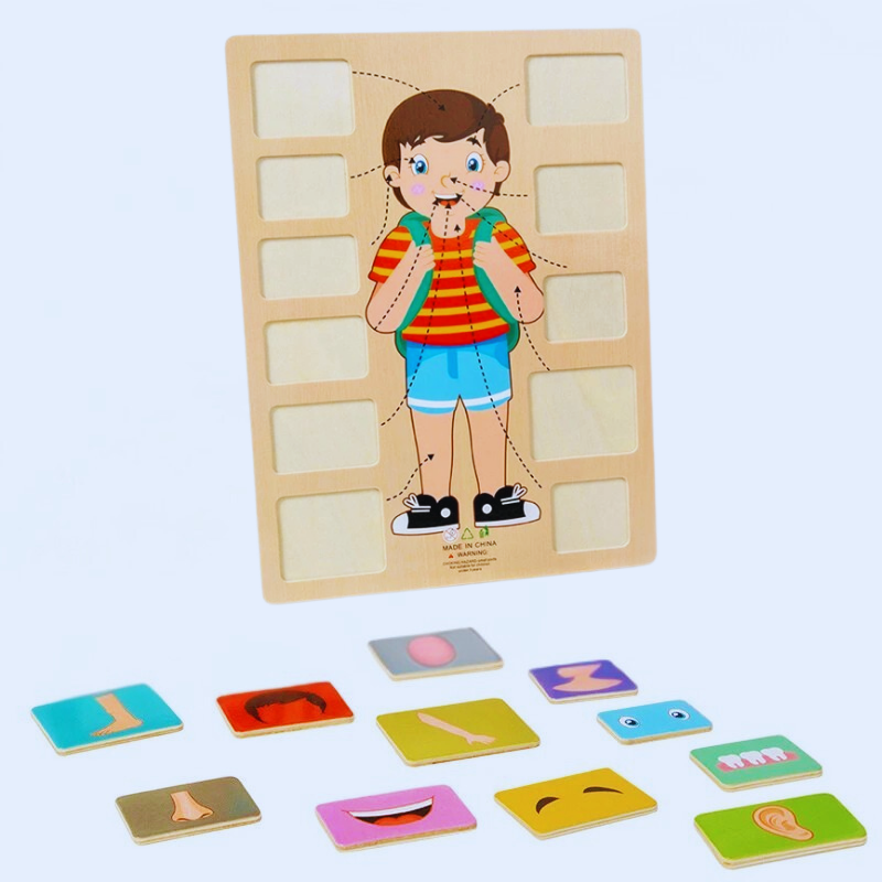 Human Body Puzzle Set | Engaging Hands-On Learning Experience