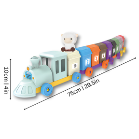 Interactive Educational Toy | Develops Focus and Motor Skills