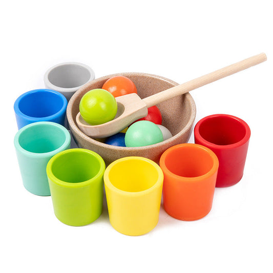 Montessori Color Sorting Toy | Develops Cognitive and Motor Skills