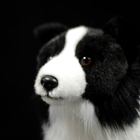 Border Collie Plush Toy | Soft, Durable, Cuddly Companion