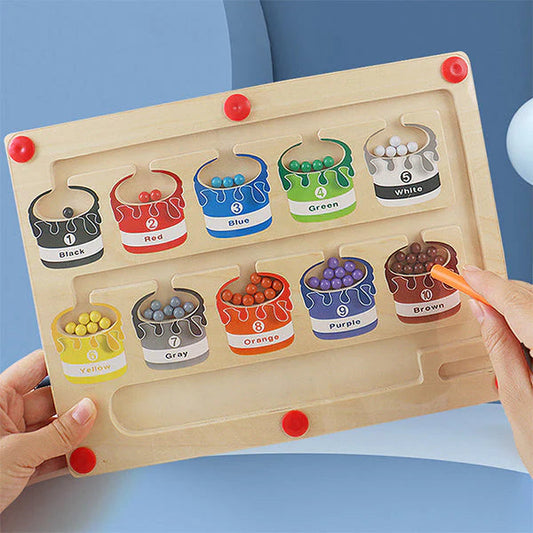 Magnetic Sorting Board Playset | Develops Fine Motor Skills