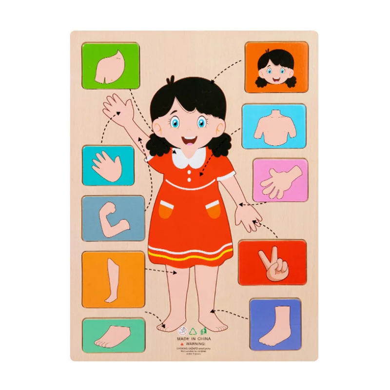 Human Body Puzzle Set | Engaging Hands-On Learning Experience