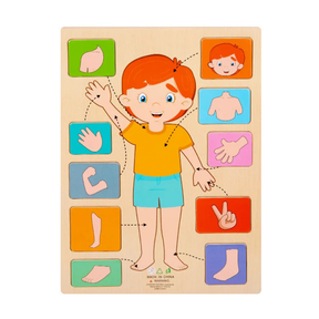 Human Body Puzzle Set | Engaging Hands-On Learning Experience
