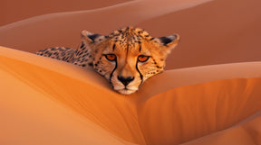 Detailed cheetah desert mural wallpaper design pattern showing peaceful big cat in sand dunes by Kids-Mundo