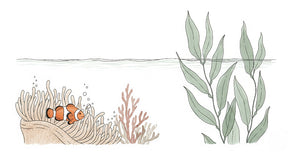 Detailed clownfish and coral reef mural wallpaper design pattern by Kids-Mundo