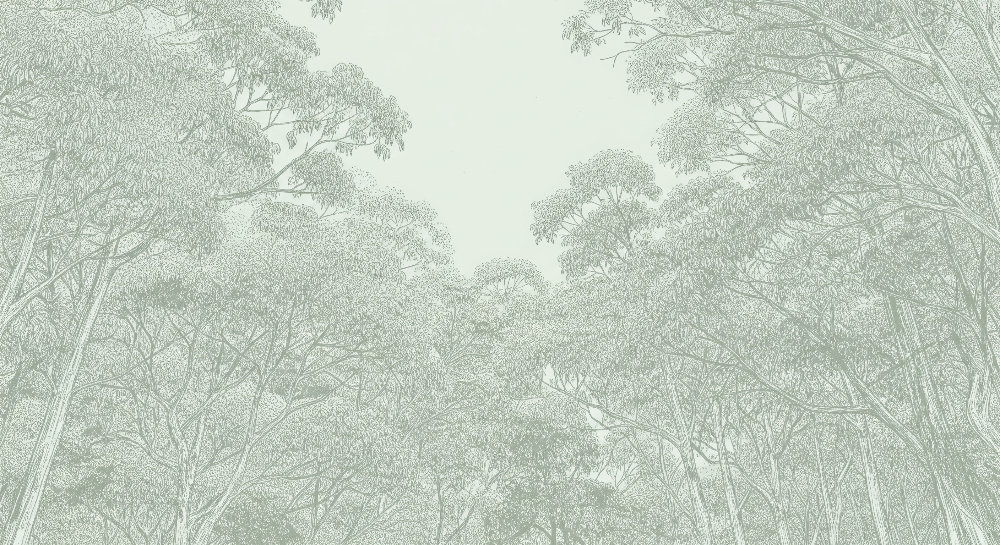 Delicate Forest Canopy Wall Mural