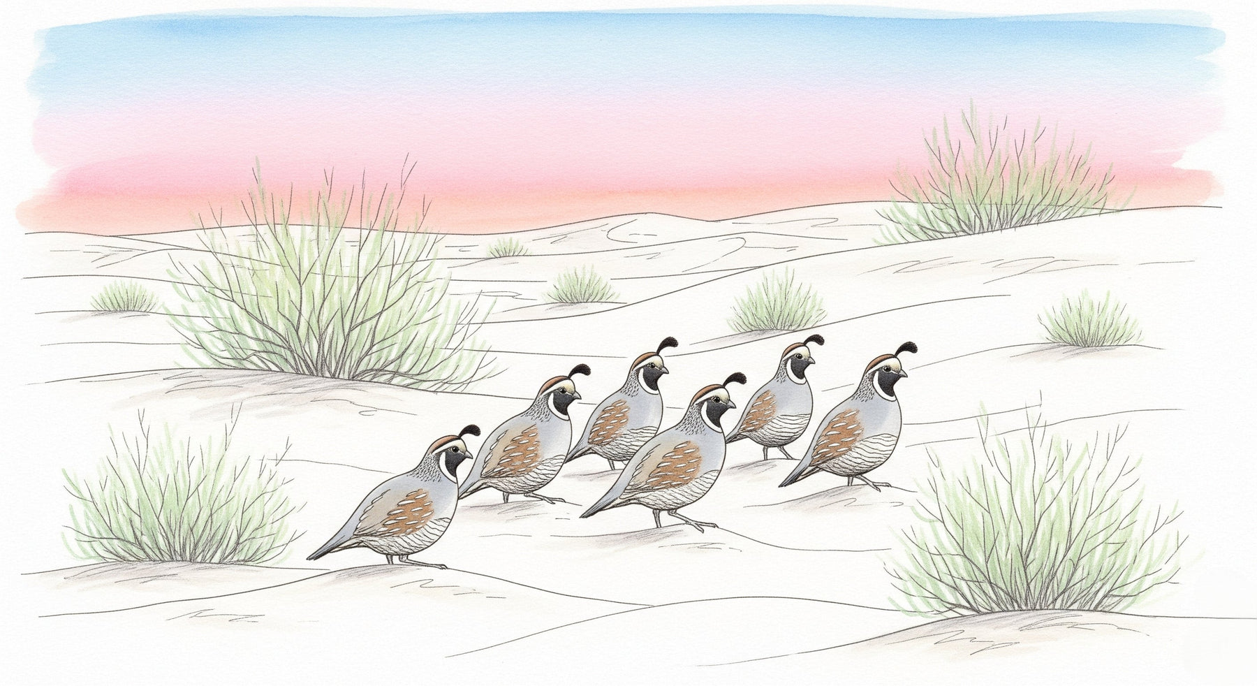 Detailed desert birds mural wallpaper design pattern showing prairie birds and sand dunes by Kids-Mundo