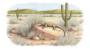 Detailed desert lizard and cacti mural wallpaper design pattern by Kids-Mundo