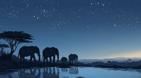 Detailed elephant family savanna mural wallpaper design pattern with starry sky by Kids-Mundo