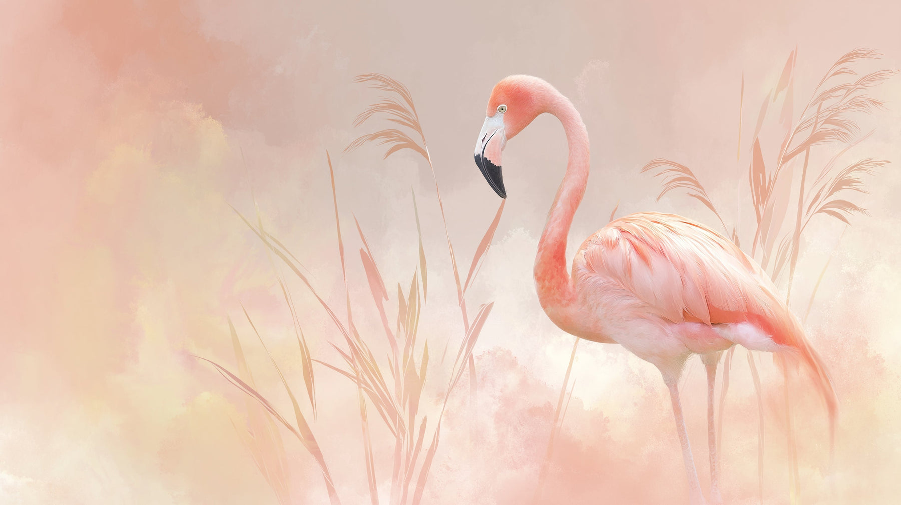 Detailed flamingo mural wallpaper design pattern showing pink bird in pastel landscape by Kids-Mundo