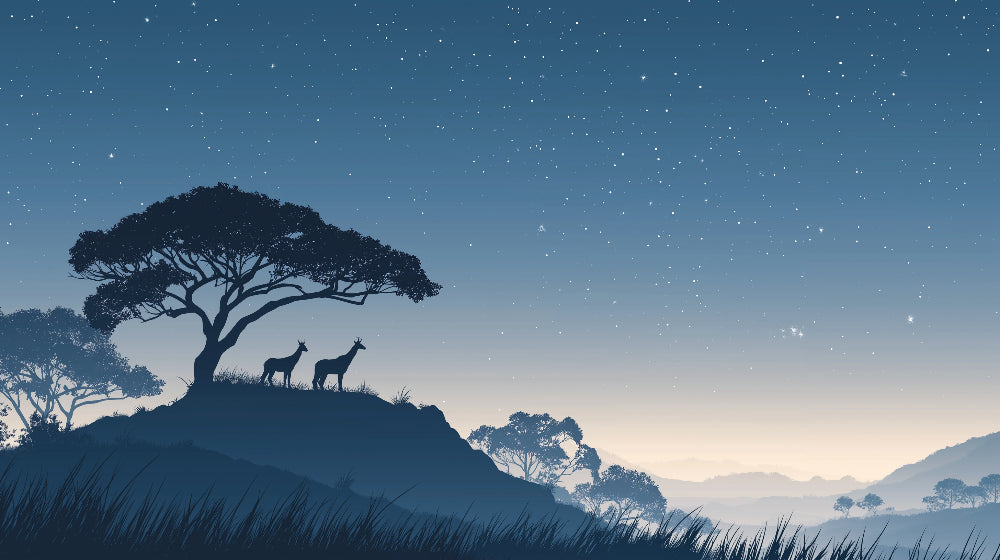 Detailed deer silhouettes and starry tree mural wallpaper design pattern by Kids-Mundo