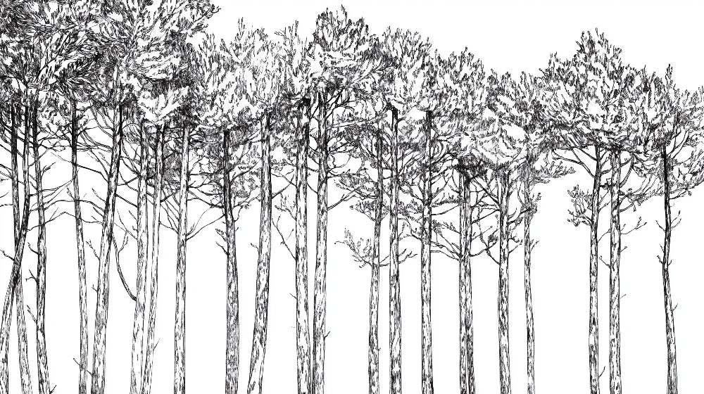 Detailed minimalist forest mural wallpaper design pattern with black and white trees by Kids-Mundo