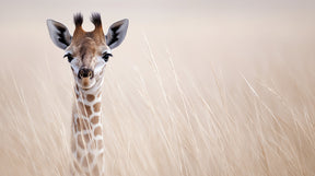 Detailed giraffe safari mural wallpaper design pattern with African savanna landscape by Kids-Mundo