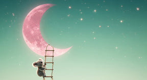 Detailed koala climbing to pink moon mural wallpaper design pattern by Kids-Mundo