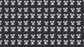 Detailed koala mural wallpaper design pattern showing adorable animals on black background by Kids-Mundo