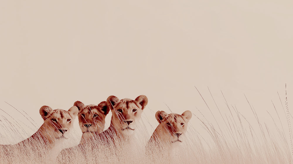 Detailed lion safari mural wallpaper design pattern showing majestic lions in grassland by Kids-Mundo