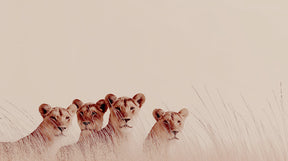Detailed lion safari mural wallpaper design pattern showing majestic lions in grassland by Kids-Mundo