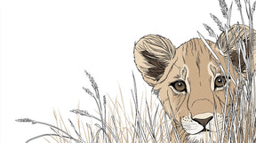 Detailed lion cub in tall grass mural wallpaper design pattern by Kids-Mundo