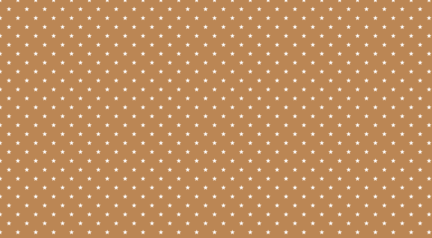 Flat artwork preview of the Kids-Mundo mini stars on terracotta wall mural