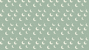 Detailed moon and star mural wallpaper design pattern on pale green background by Kids-Mundo